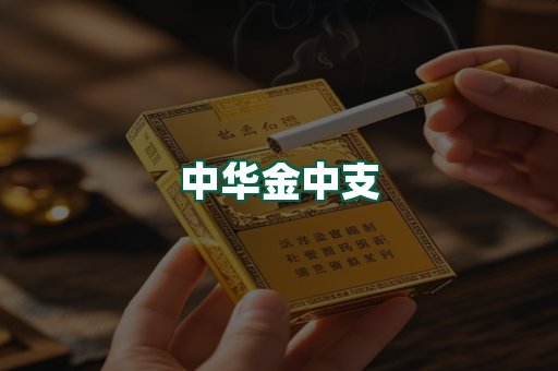 中华金中支